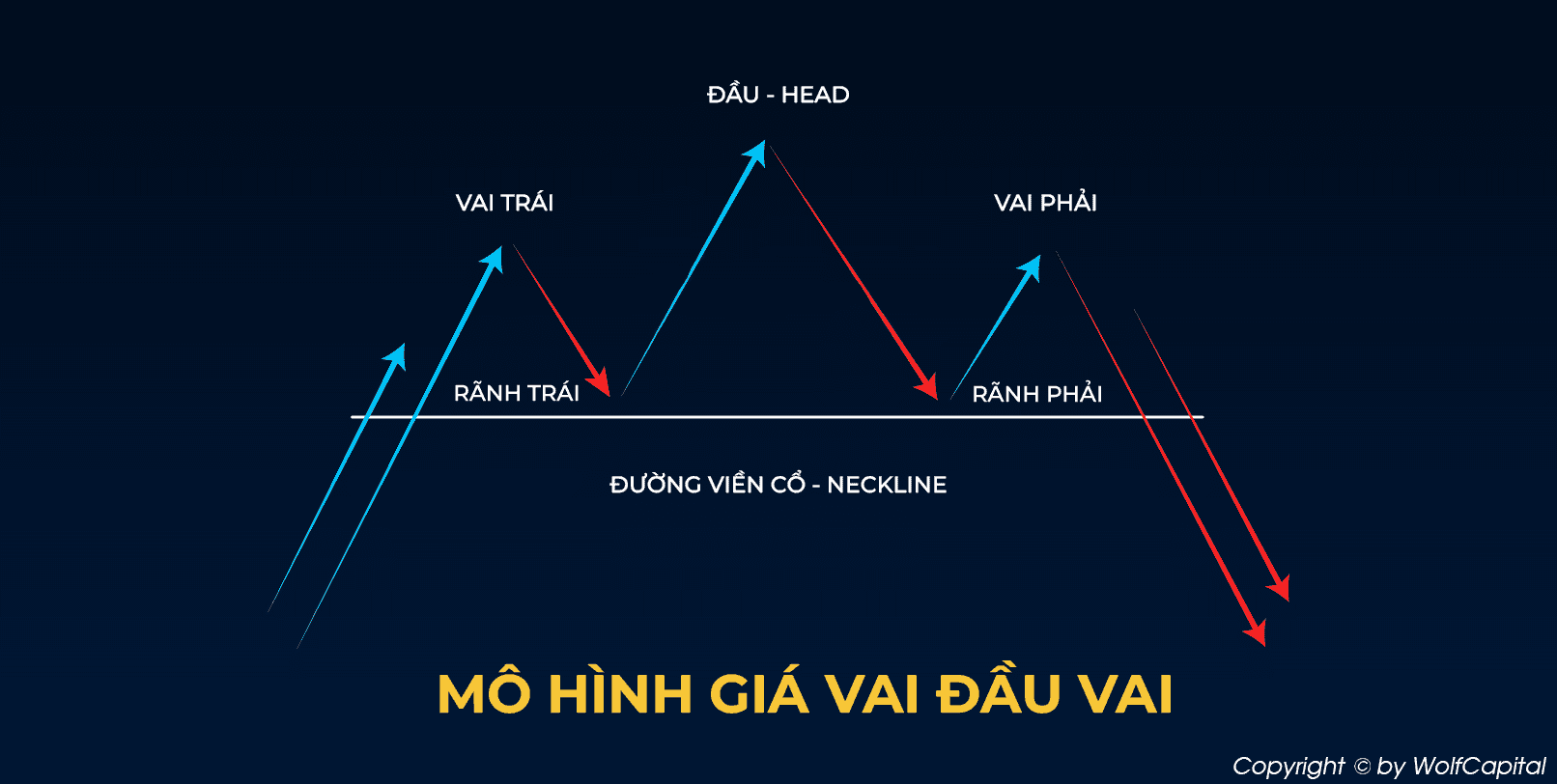 Các thành phần cấu tạo nên Mô hình vai đầu vai