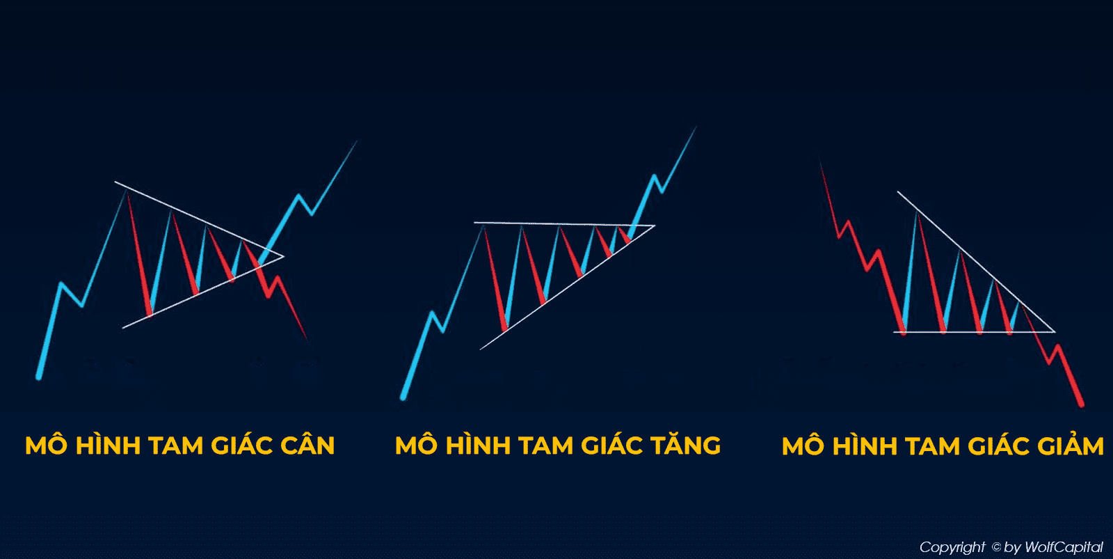 Các dạng mô hình tam giác